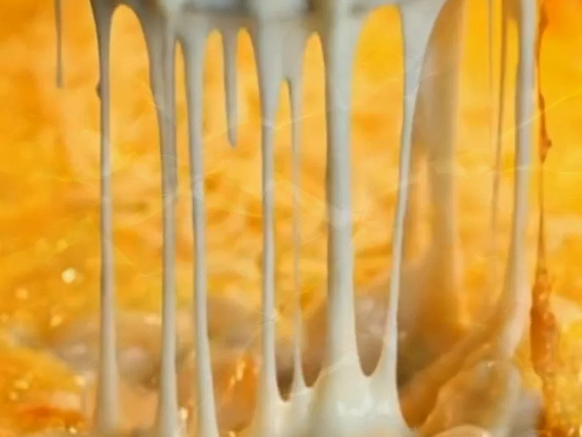 Goldene Ofen-Nudeln in cremiger Käsesauce
